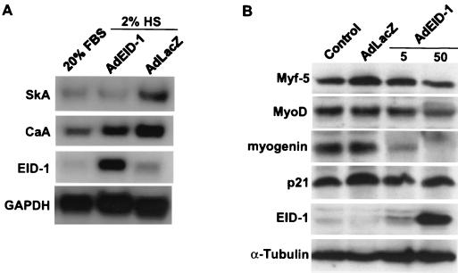 FIG. 5