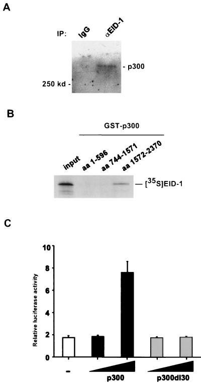 FIG. 10