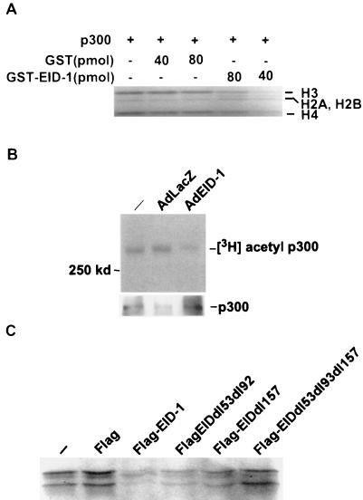 FIG. 11