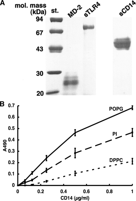 FIGURE 9.