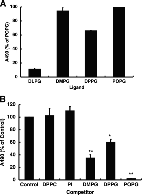 FIGURE 10.