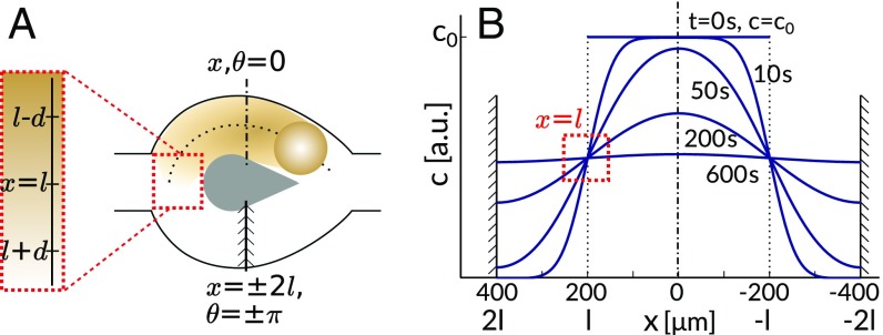 Fig. 5.