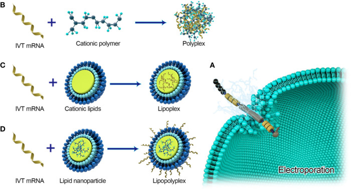 Figure 4