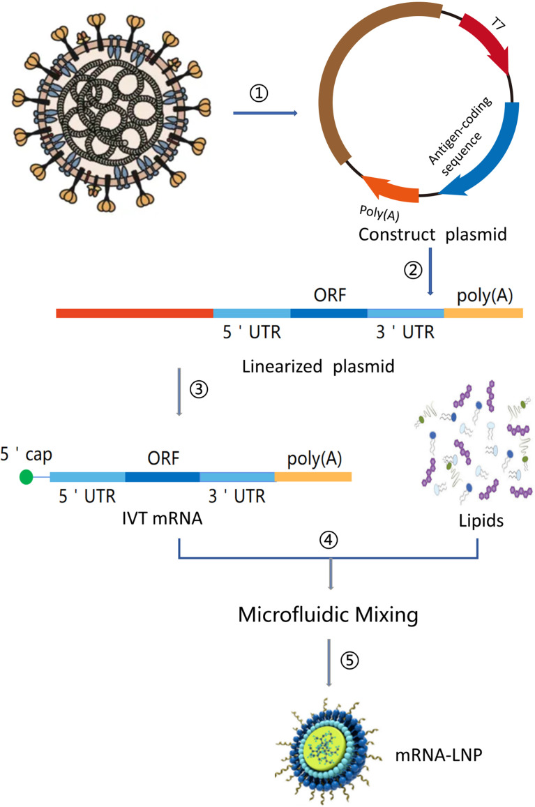 Figure 2