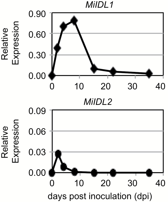 Fig. 6.