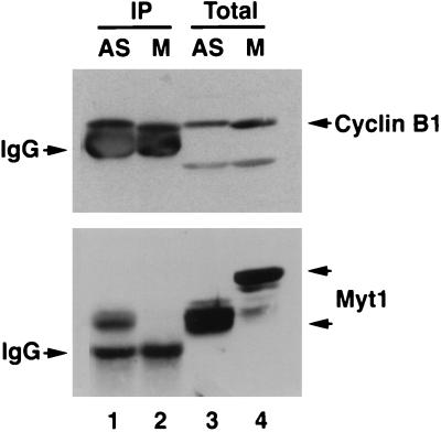 FIG. 6