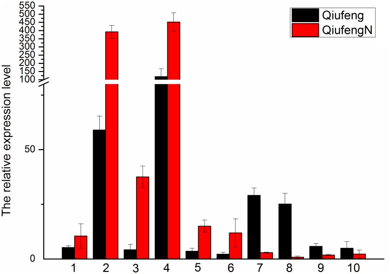 Fig. 2