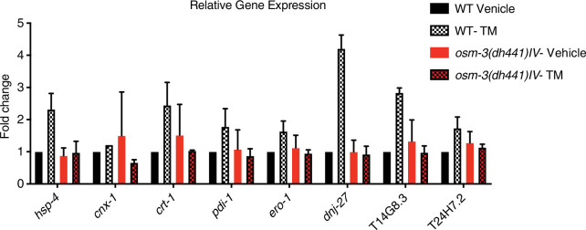 Figure 2—figure supplement 1.