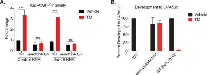 Figure 3—figure supplement 1.