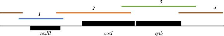 Fig. 1