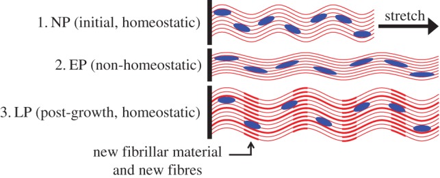 Figure 11.