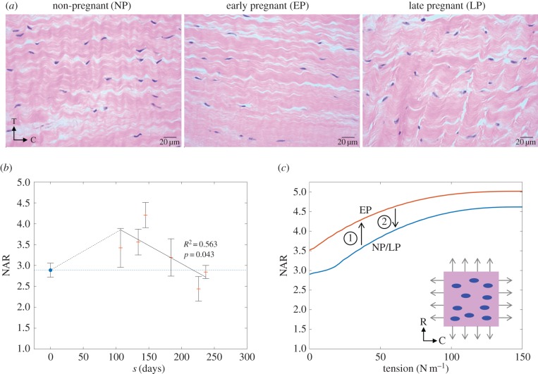 Figure 10.