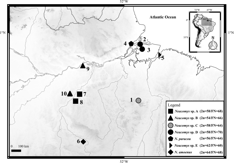 Fig. 1