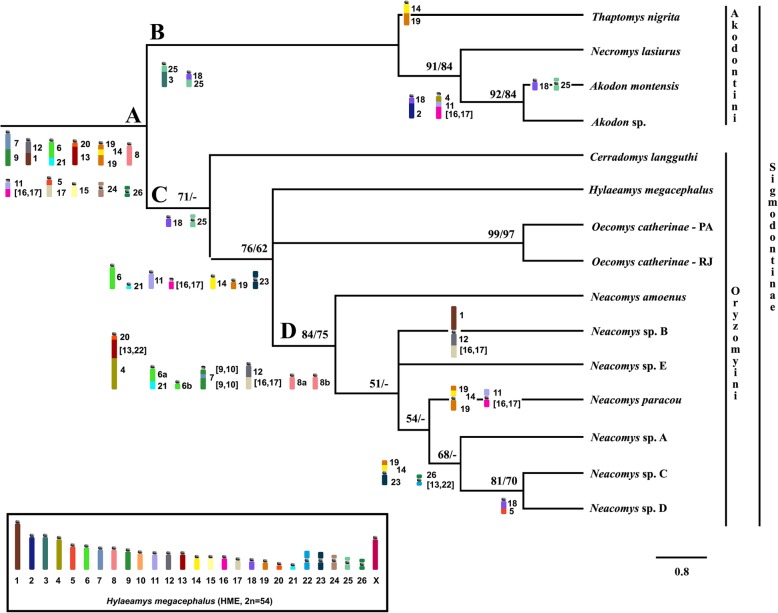 Fig. 4