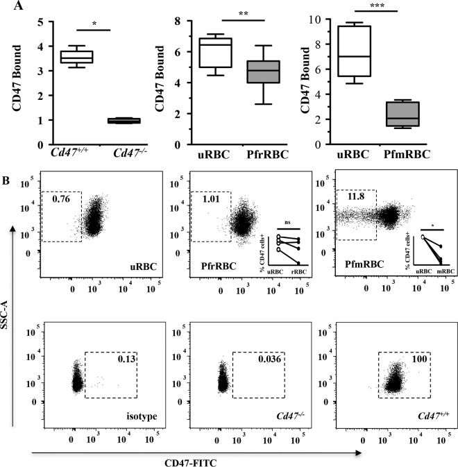 FIG 3