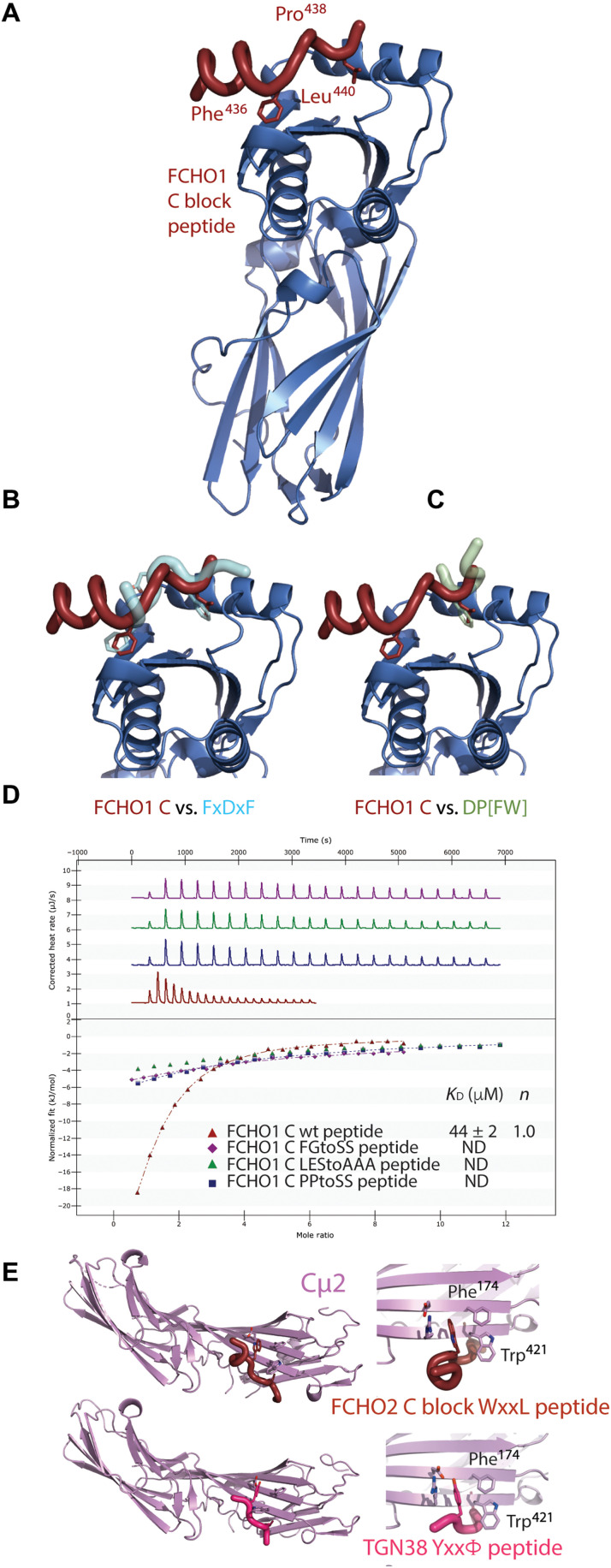 Fig. 9.