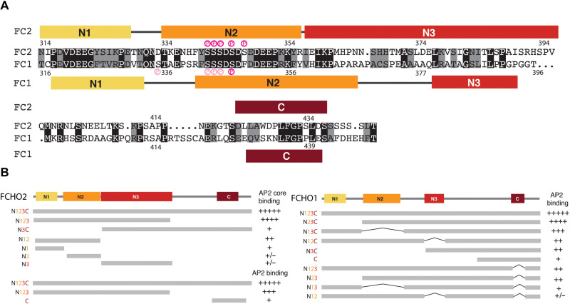 Fig. 4.