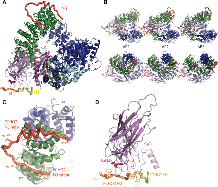 Fig. 8.