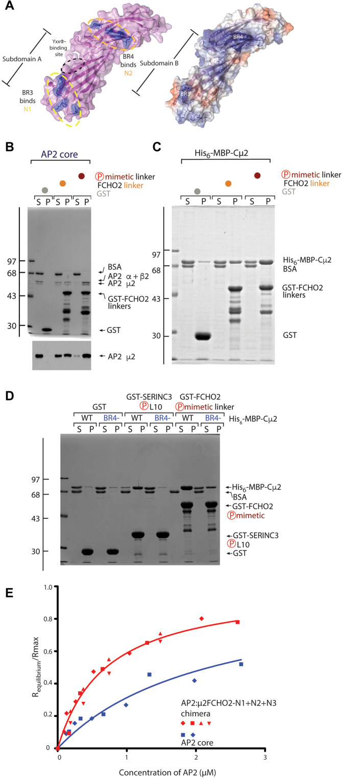 Fig. 7.