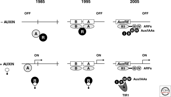 Figure 1.