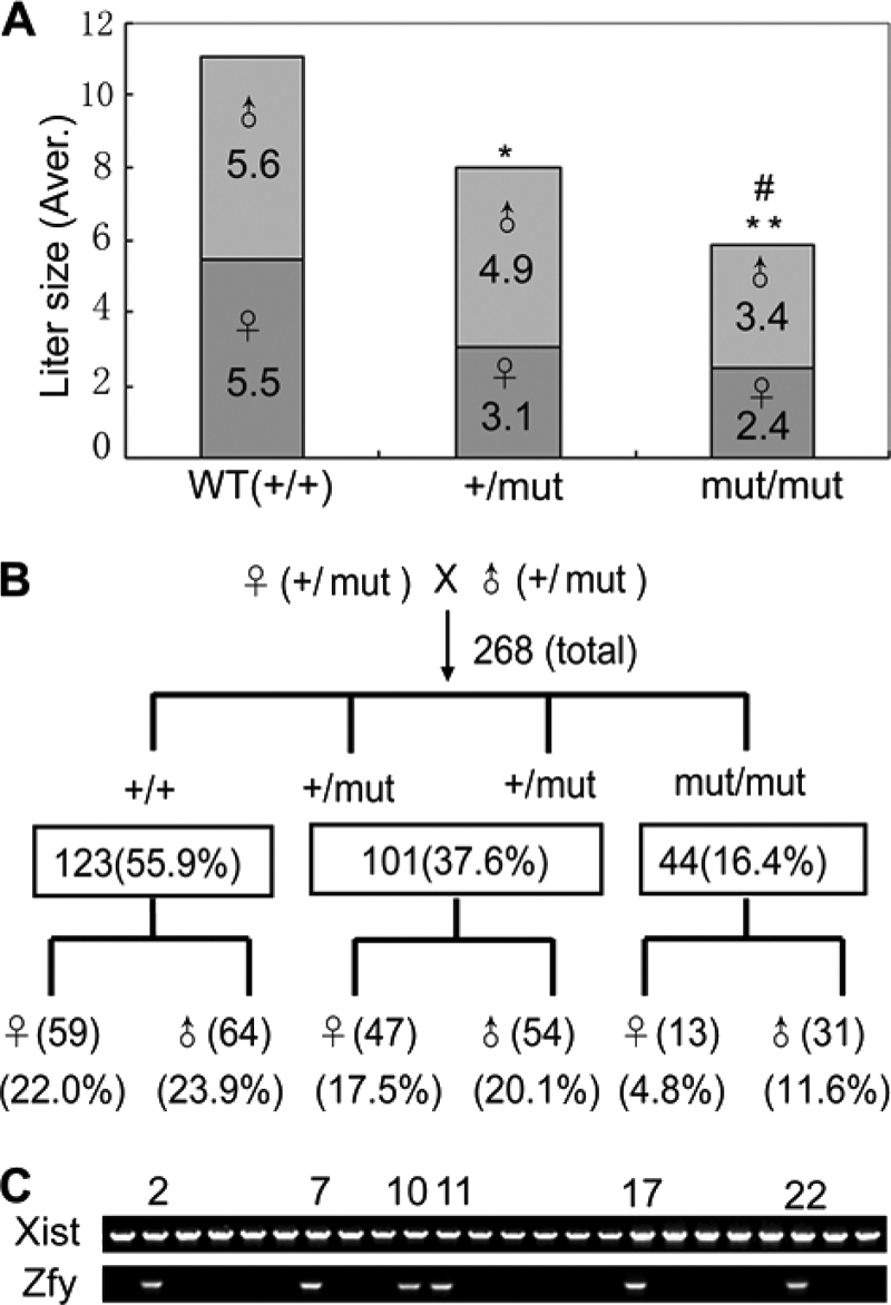 FIGURE 5.