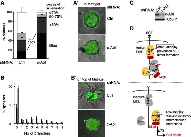 Figure 7