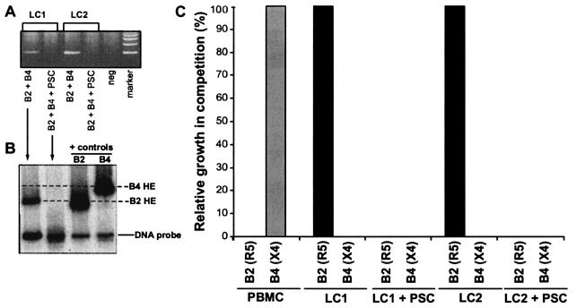 FIG. 5.