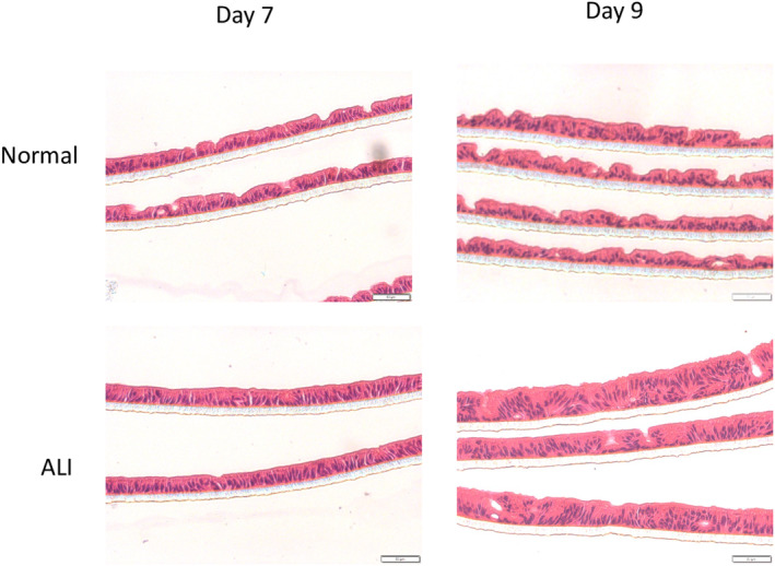 FIGURE 3