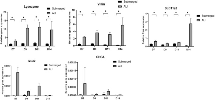 FIGURE 10