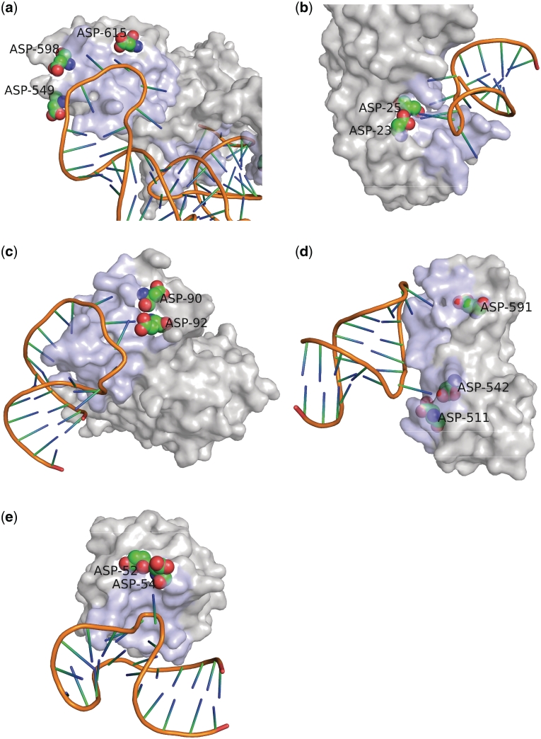 Figure 5.