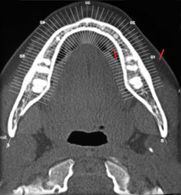 Fig. 8