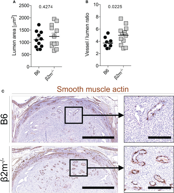 Figure 6