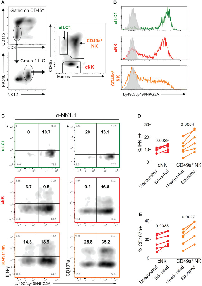 Figure 3