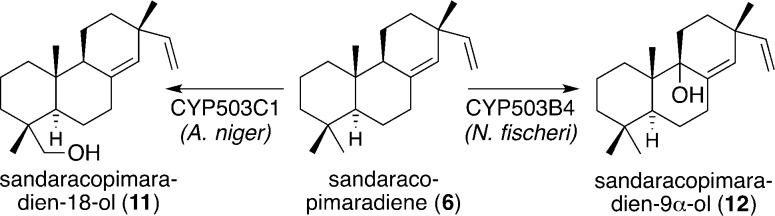 Scheme 2