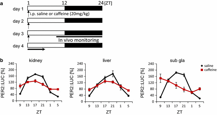 Fig. 4