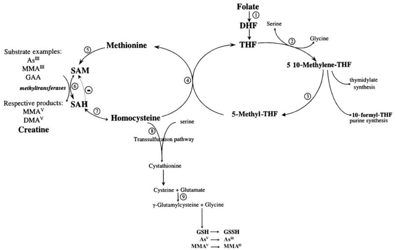 FIGURE 4