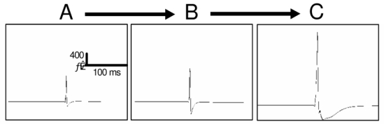 Fig. 5