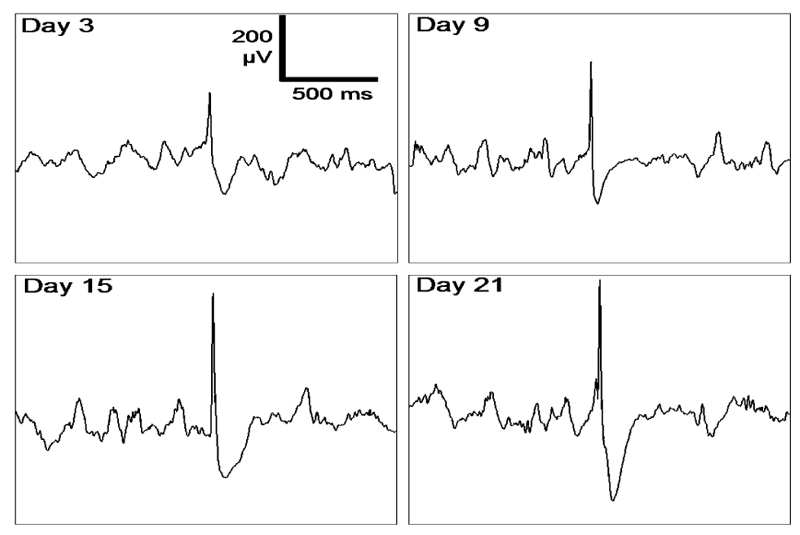 Fig. 2