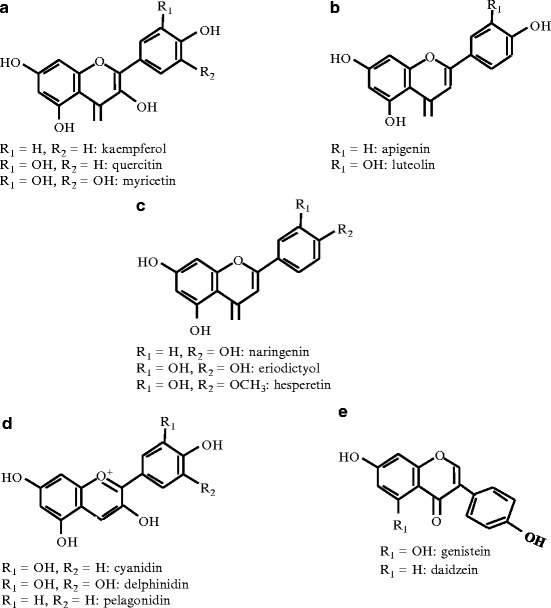 Fig. 1.2