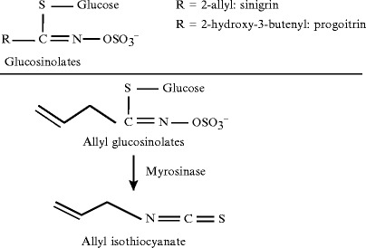 Fig. 1.4