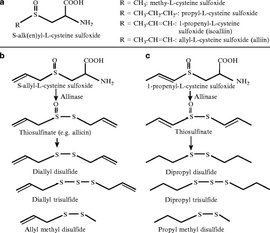 Fig. 1.3