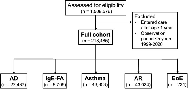 FIGURE 1