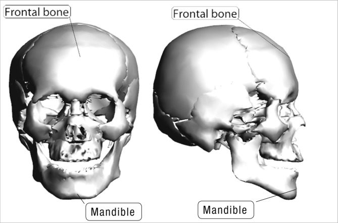 Fig. 8