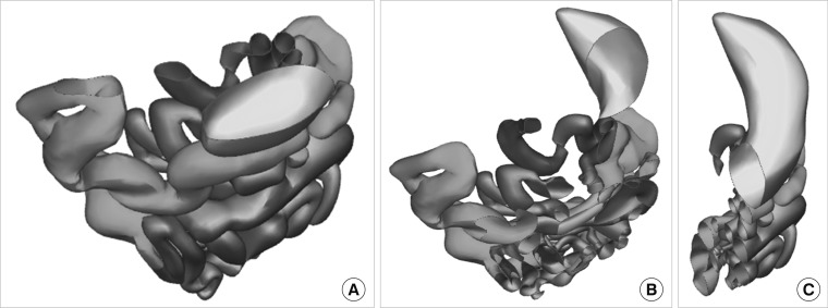 Fig. 7