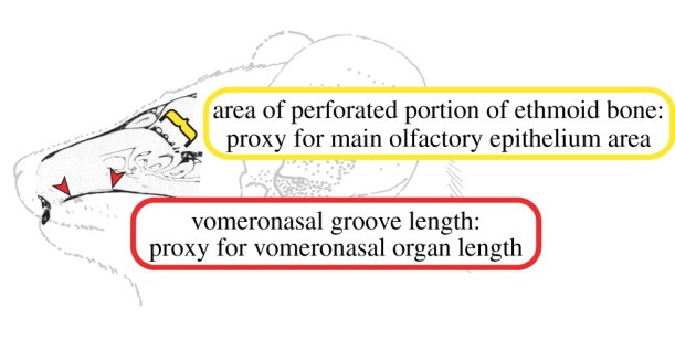 Figure 1.