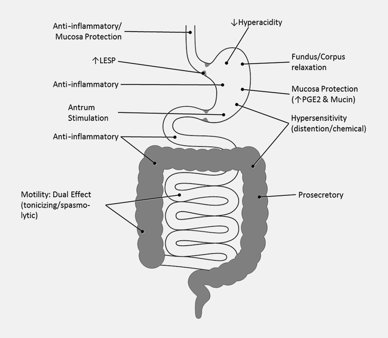 Fig. 3