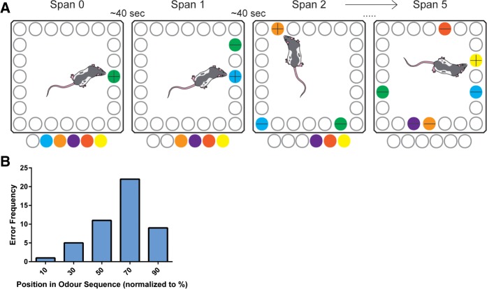 Figure 7.