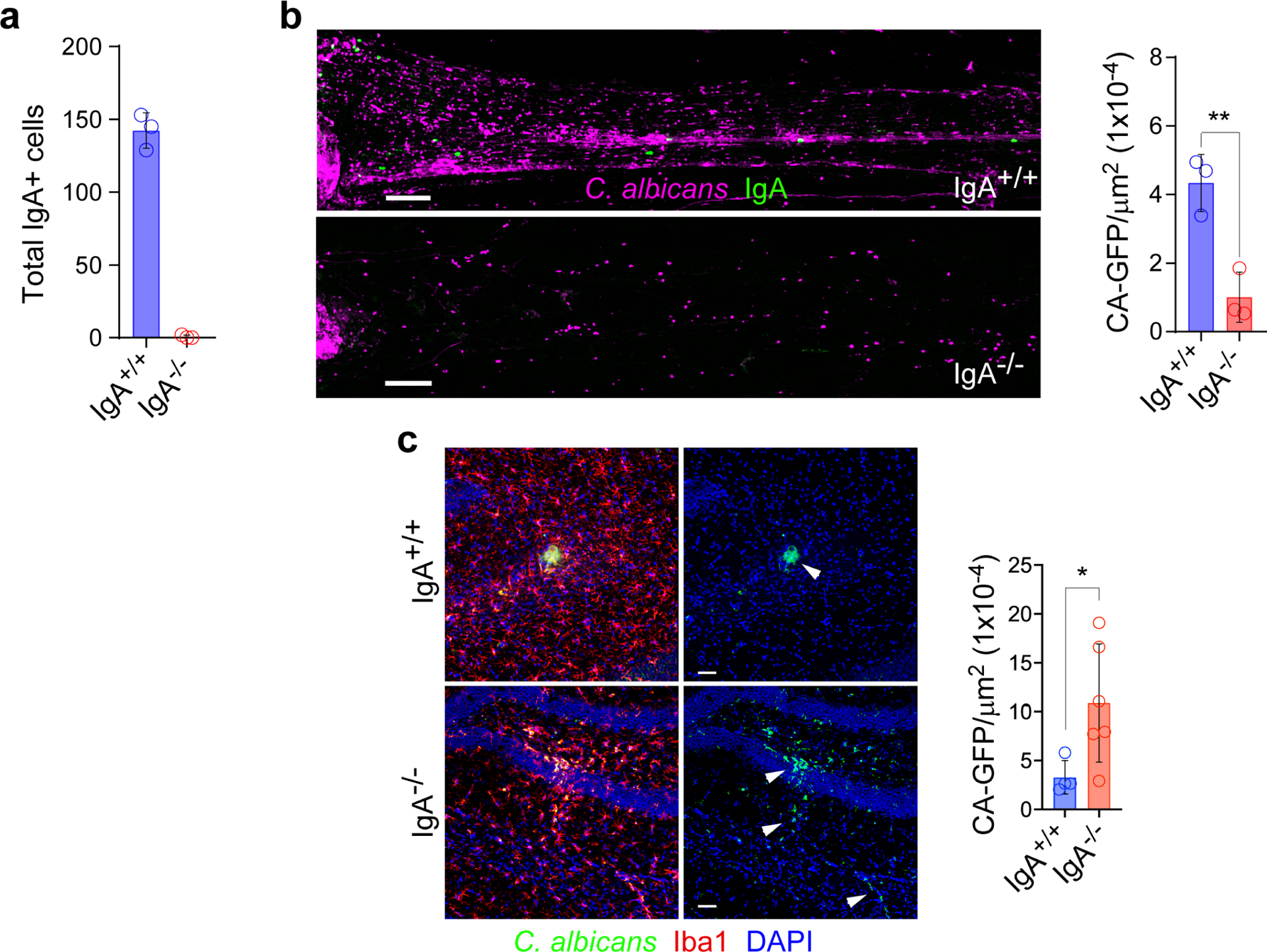 Extended Data Fig. 6: