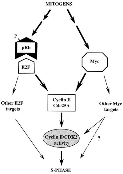 FIG. 8