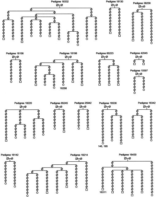 Figure  1